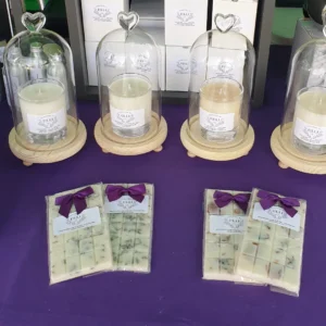 Lolli Glass Dome Candle & Wax Melt Bar Gift Set